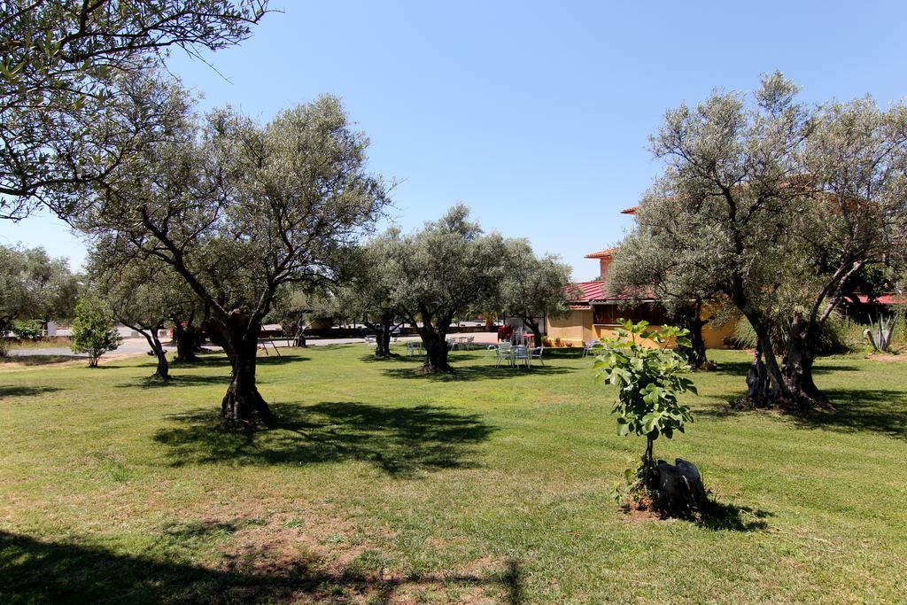 Rural Hojaranzos 3*